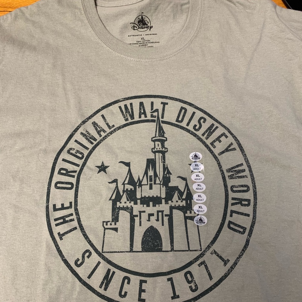 Disney Gray Short Sleeve Tee with Black Castle Design